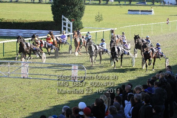 IMG 0857 600x400 prot