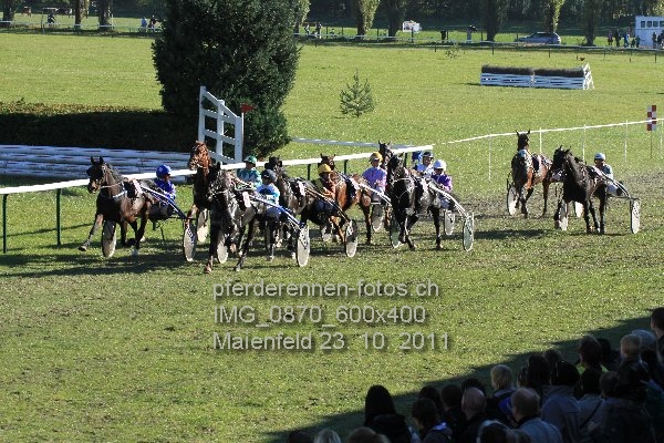IMG 0870 600x400 prot