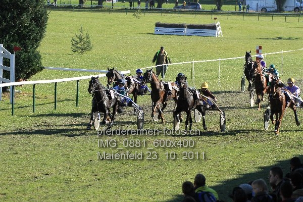 IMG 0881 600x400 prot