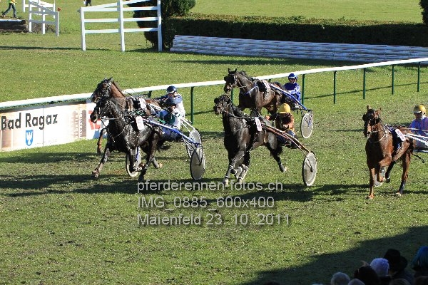IMG 0885 600x400 prot