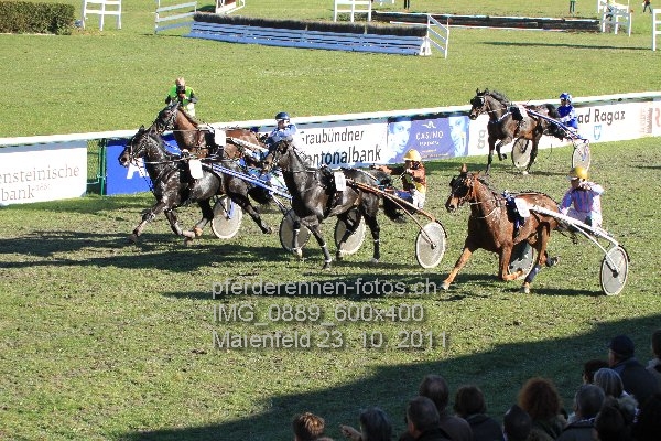 IMG 0889 600x400 prot