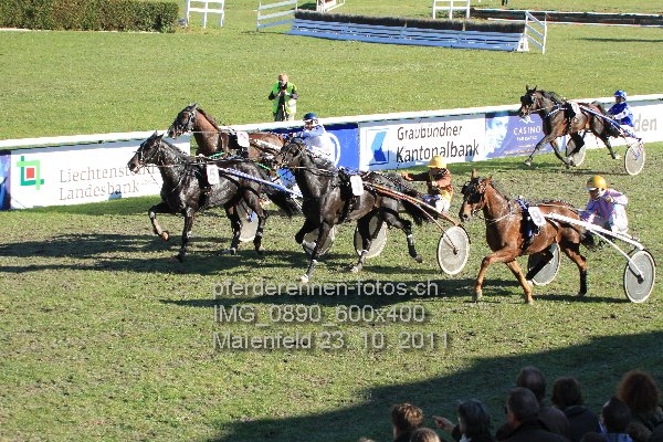 IMG 0890 600x400 prot