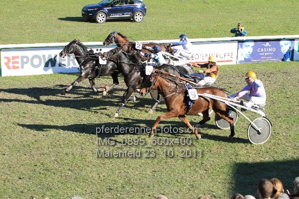 IMG 0895 600x400 prot