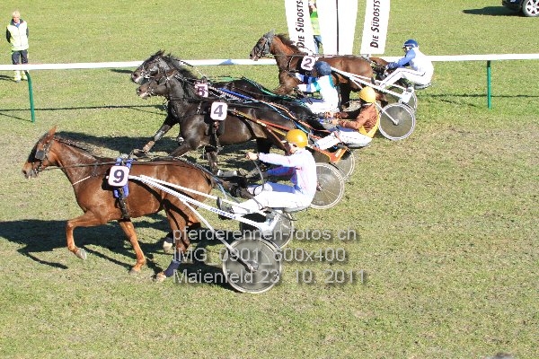 IMG 0901 600x400 prot