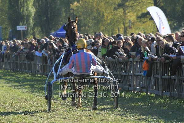 IMG 0902 600x400 prot