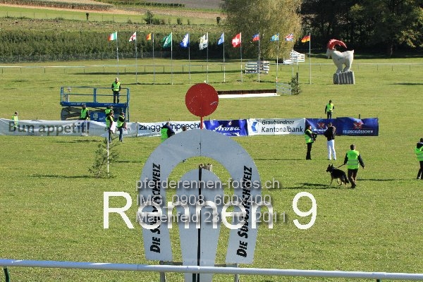 IMG 0908 600x400 prot