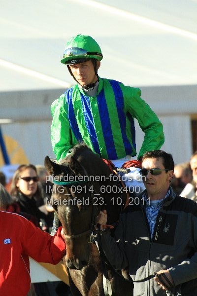 IMG 0914 600x400 prot