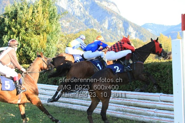 IMG 0923 600x400 prot