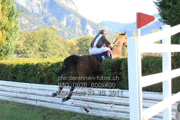 IMG 0926 600x400 prot