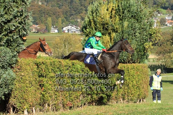 IMG 0928 600x400 prot