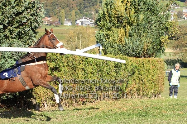 IMG 0938 600x400 prot