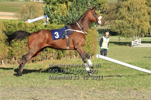 IMG 0942 600x400 prot