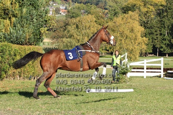 IMG 0945 600x400 prot