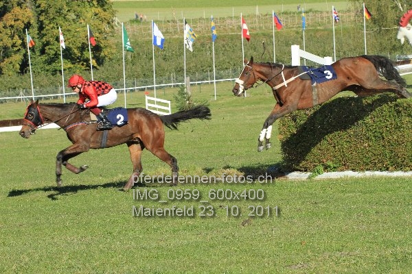 IMG 0959 600x400 prot