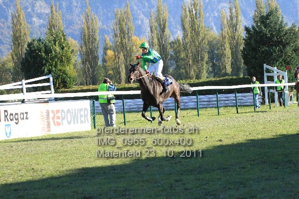 IMG 0965 600x400 prot