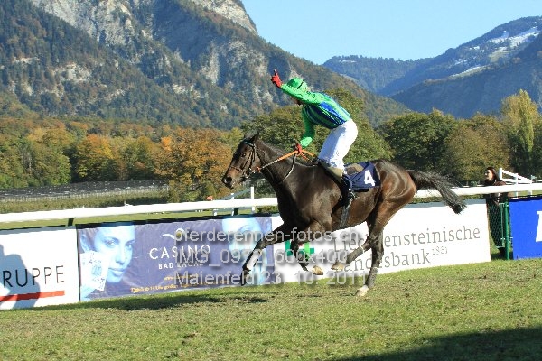 IMG 0972 600x400 prot