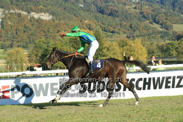 IMG 0976 600x400 prot