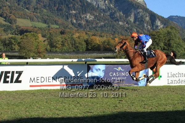 IMG 0977 600x400 prot