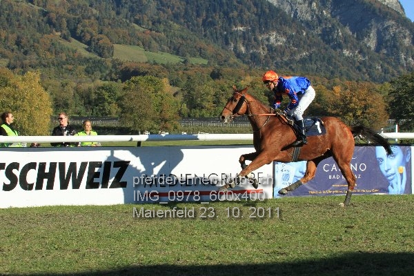 IMG 0978 600x400 prot