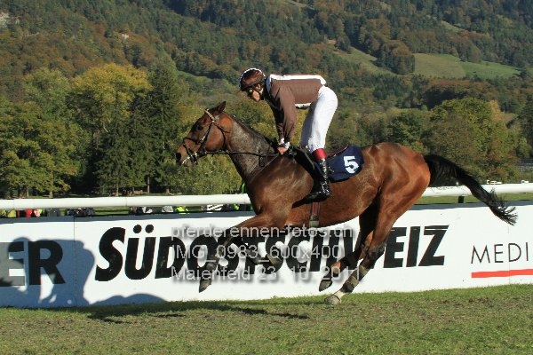 IMG 0983 600x400 prot