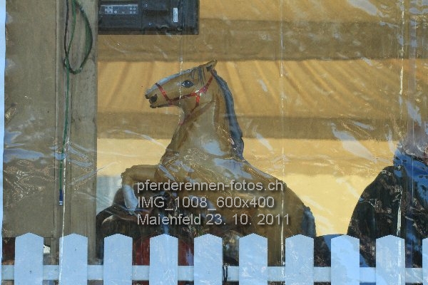 IMG 1008 600x400 prot