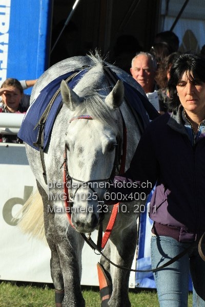 IMG 1025 600x400 prot
