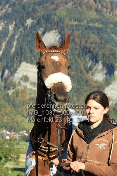 IMG 1037 600x400 prot