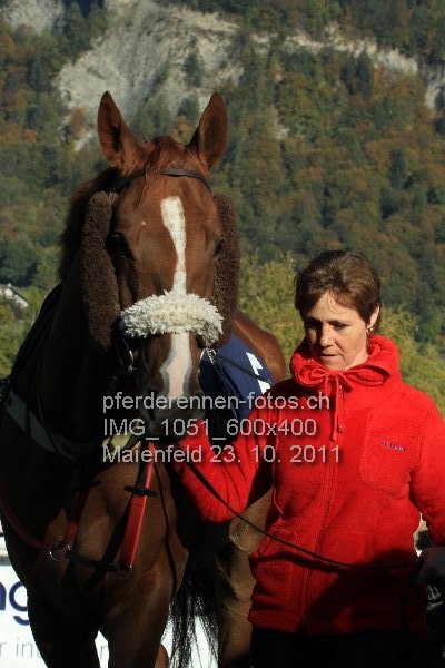 IMG 1051 600x400 prot