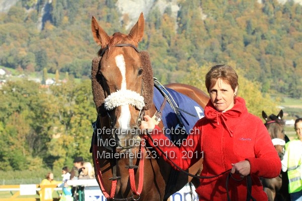 IMG 1053 600x400 prot