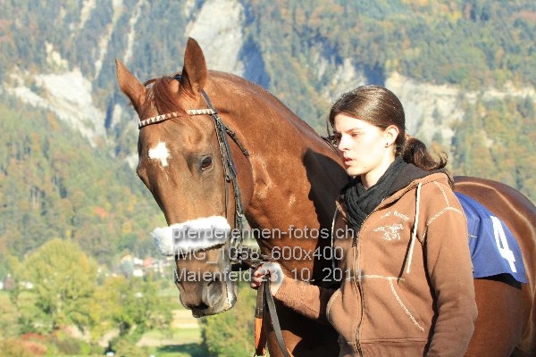 IMG 1058 600x400 prot