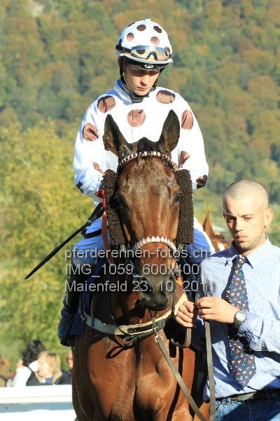 IMG 1059 600x400 prot