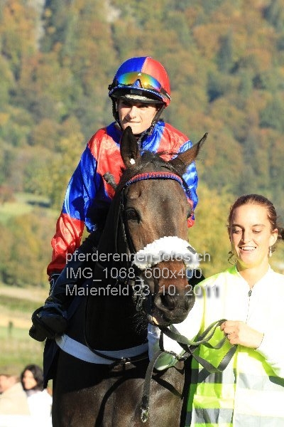 IMG 1068 600x400 prot