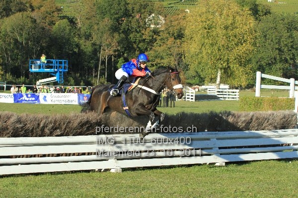 IMG 1100 600x400 prot
