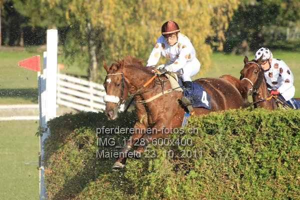 IMG 1128 600x400 prot