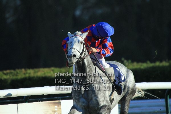 IMG 1147 600x400 prot