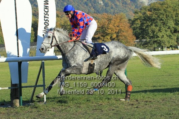 IMG 1159 600x400 prot