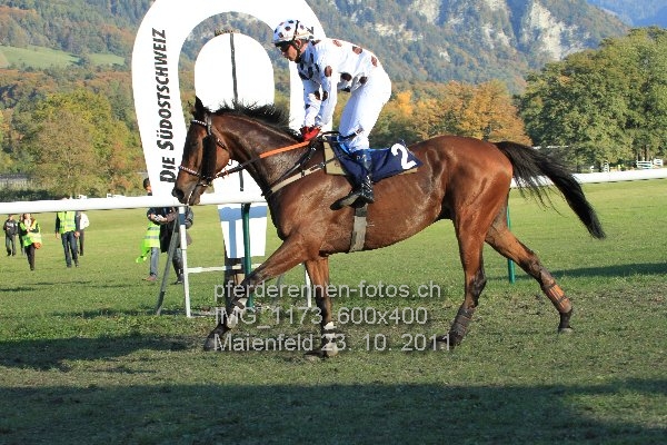 IMG 1173 600x400 prot