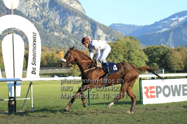 IMG 1175 600x400 prot