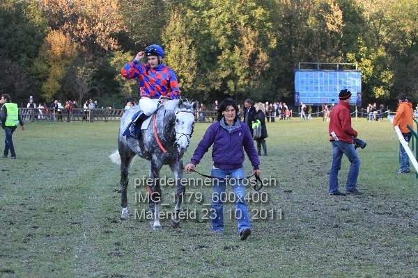 IMG 1179 600x400 prot