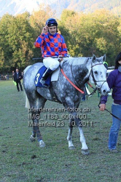 IMG 1183 600x400 prot