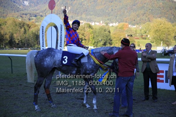 IMG 1188 600x400 prot