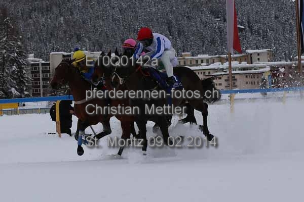 ET0Q0142a prot
