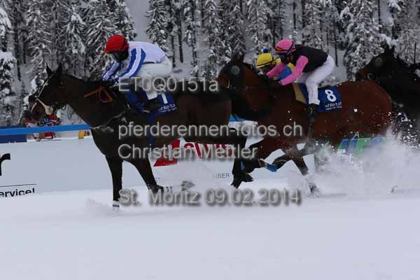 ET0Q0151a prot
