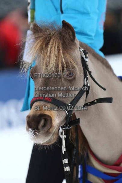 ET0Q0170 prot