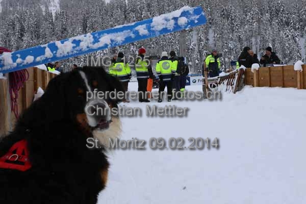 IMG 1225 prot