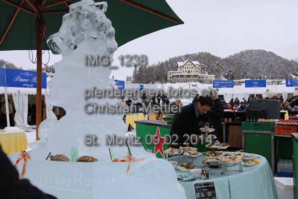 IMG 1238 prot