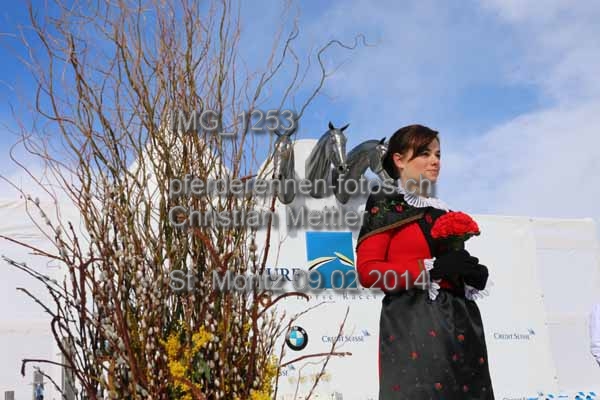 IMG 1253 prot