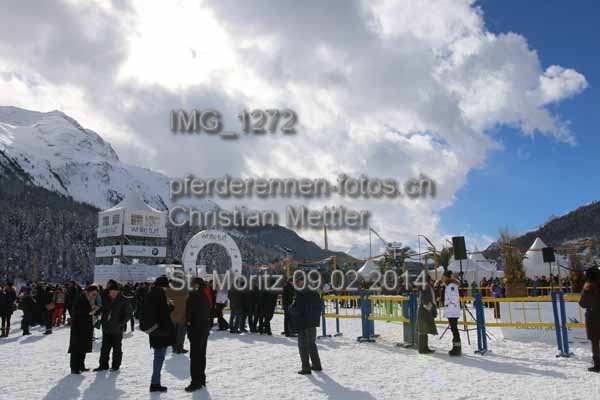 IMG 1272 prot