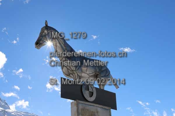 IMG 1279 prot
