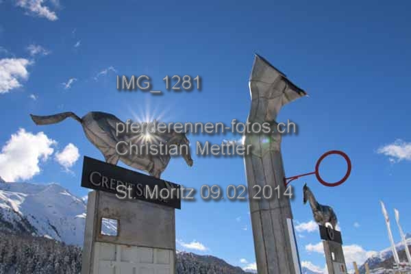 IMG 1281 prot